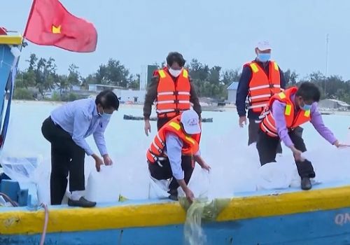 Quảng Ngãi: Thả 511.000 tôm, cua, cá giống tái tạo nguồn lợi thủy sản