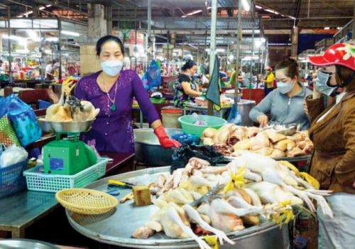 ĐBSCL: Giá vịt giảm do nhu cầu tiêu thụ giảm