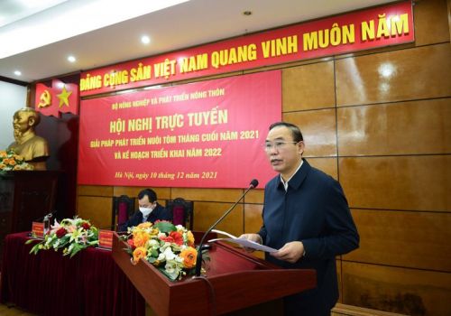Ngành tôm: Mục tiêu giá trị xuất khẩu đạt 4 tỷ USD năm 2022