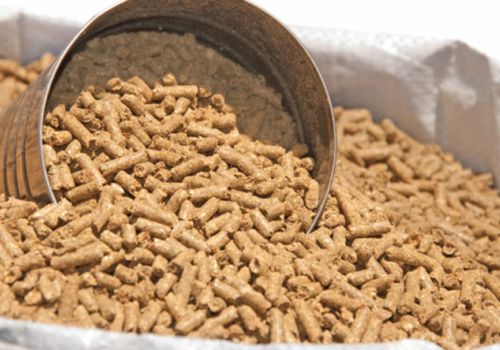 Nhập khẩu thức ăn chăn nuôi lần đầu vượt mốc 4 tỷ USD