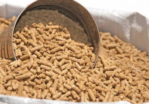 Chi gần 5 tỷ USD nhập khẩu thức ăn chăn nuôi và nguyên liệu