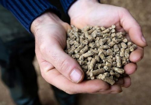 Thức ăn gia súc giúp giảm khí thải