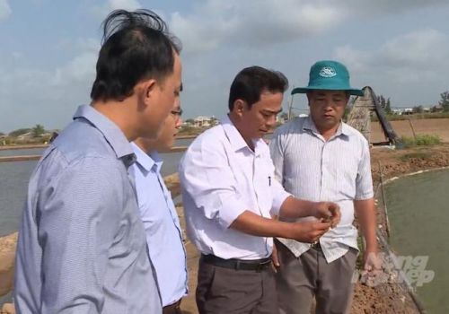 Bình Định: Phong trào nuôi heo rừng lai ở Tây Giang