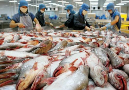 Cảnh báo nguy cơ thủy sản Việt Nam thiệt hại 480 triệu USD mỗi năm vì ‘thẻ đỏ’