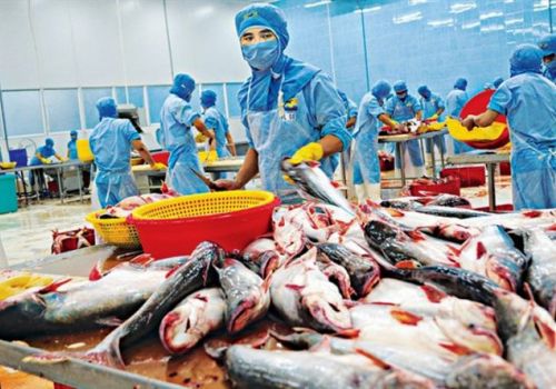 Sản xuất, chế biến thủy sản Việt Nam năm 2022: Thách thức ở phía trước