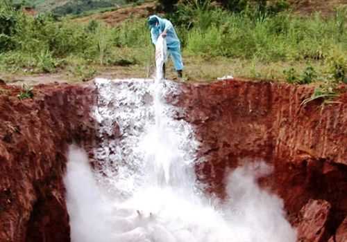 Ngọc Hồi (Kon Tum): Triển khai quyết liệt phòng, chống dịch tả lợn Châu Phi