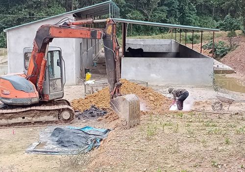 5 huyện ở Hà Tĩnh đang có dịch tả lợn châu Phi