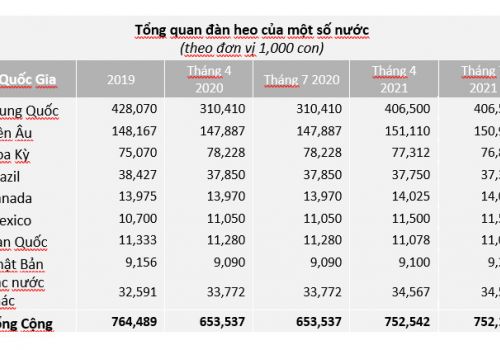 Ngành công nghiệp heo thế giới và các xu hướng toàn cầu