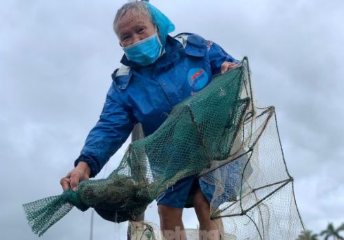 Nông dân Hà Tĩnh bán tôm non chạy đua với bão Côn Sơn