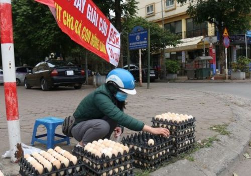 Thực hư sau những băng rôn giải cứu trứng