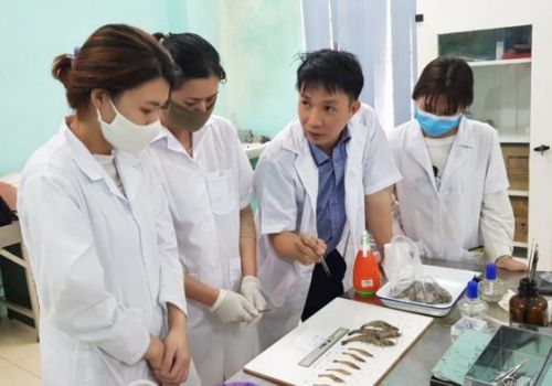 Phòng trừ dịch bệnh trên thủy sản: Bắt đầu từ thói quen dùng kháng sinh