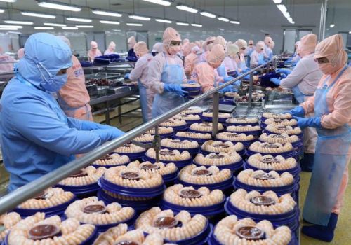 Xuất khẩu tôm chinh phục mục tiêu 5,6 tỷ USD vào năm 2025 bằng cách tăng chất lượng, giảm giá thành