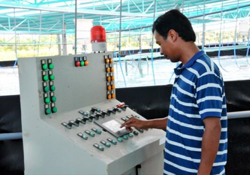 Bạc Liêu: Nuôi tôm siêu thâm canh theo mô hình tự động hóa