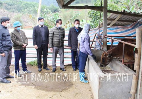 Thái Nguyên: Phòng bệnh cho vật nuôi lúc giao mùa