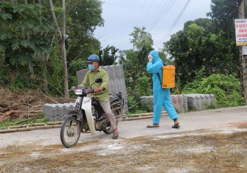 Thanh Hóa: Huyện Như Thanh công bố hết dịch bệnh tả lợn Châu Phi