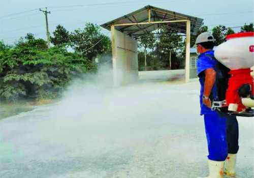 Quy trình xử lí chuồng trại sau khi bị nhiễm dịch tả heo châu Phi