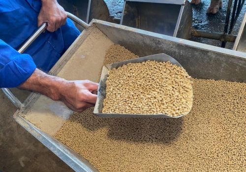 Ngành TACN Việt Nam: Tăng trưởng đứng đầu khối ASEAN