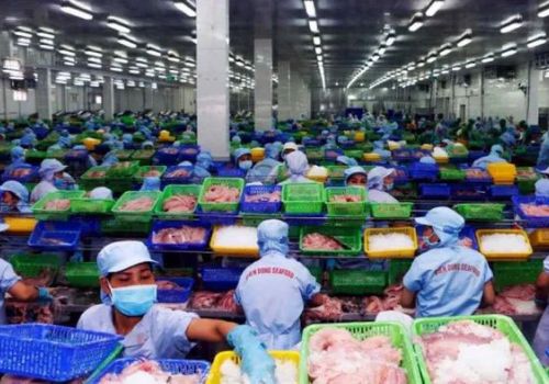 Khó khăn cho các doanh nghiệp xuất khẩu thủy sản trước căng thẳng Nga – Ukraine