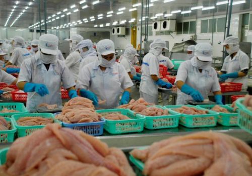 Xuất khẩu thủy sản sang Philippines tăng gấp 5 lần so với cùng kỳ năm ngoái