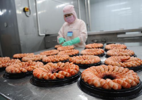 Xuất khẩu tôm thuận lợi, nông dân phấn khởi