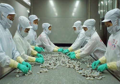 Xuất khẩu thủy sản trong 11 tháng chạm mốc 8 tỷ USD