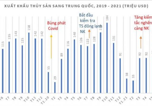 Dự báo xuất khẩu thủy sản sang Trung Quốc giảm 40%