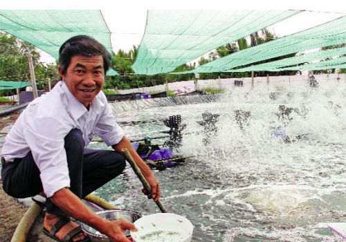 Xử lý nước thải nuôi tôm