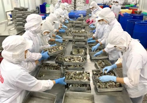 Xuất khẩu thủy sản Bạc Liêu: Một năm năng động vượt khó