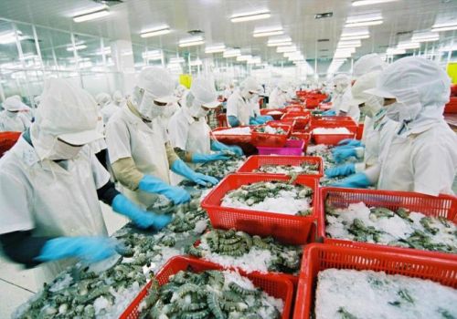 Xuất khẩu thủy sản tháng 10/2021: Những tín hiệu hồi phục