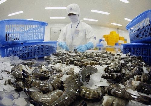 Năm 2021 Mỹ nhập khẩu hơn 88 nghìn tấn tôm Việt Nam