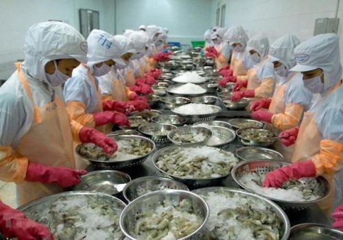 Ngành tôm tự tin vượt 4 tỷ USD xuất khẩu