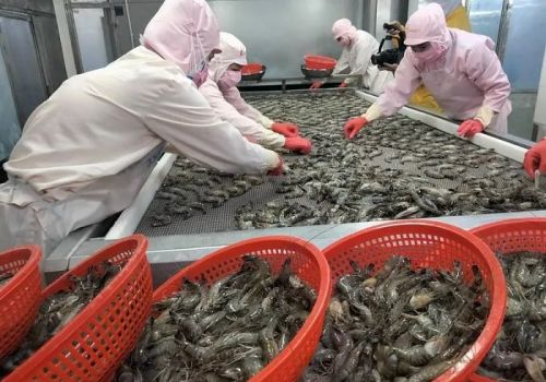 Xuất khẩu thủy sản tiếp tục tăng mạnh tại các thị trường có FTA