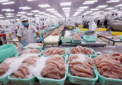 Xuất khẩu tôm, cá tra sang Nga đình trệ