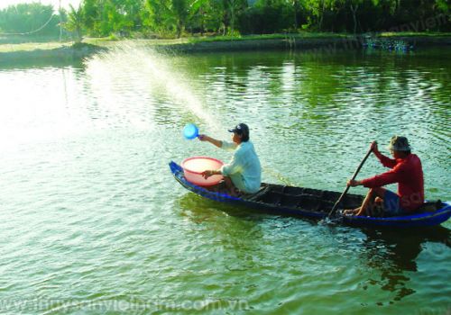 Chăm sóc tôm mùa lạnh