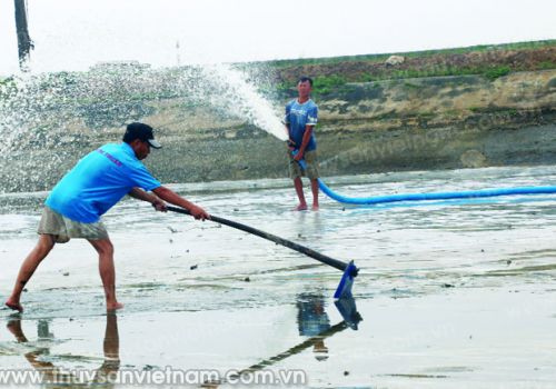 Công nghệ Nano bạc diệt khuẩn trong nuôi tôm