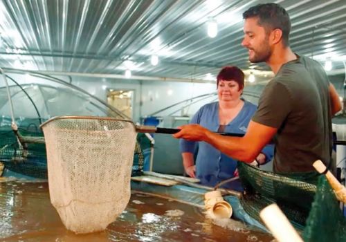 Mô hình nuôi tôm bền vững ở miền Tây nước Mỹ