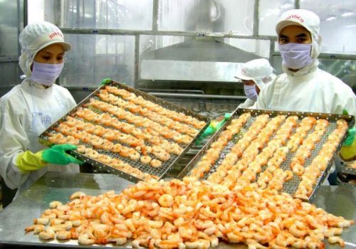 Thế giới cần 5 triệu tấn tôm vào năm 2030?