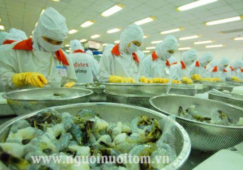 Xuất khẩu tôm Việt Nam 2022: “Nhắm” đích 4 tỷ USD