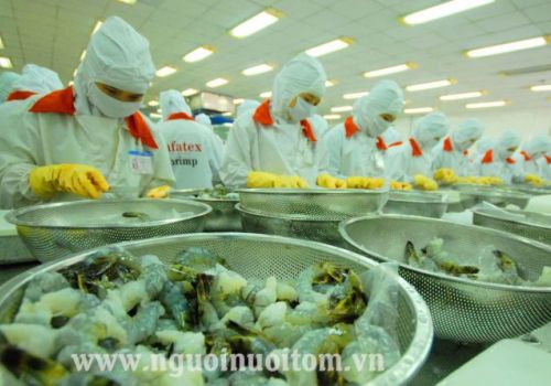 Ngành tôm 2022: Cần linh hoạt thích ứng với yêu cầu từ thị trường nhập khẩu