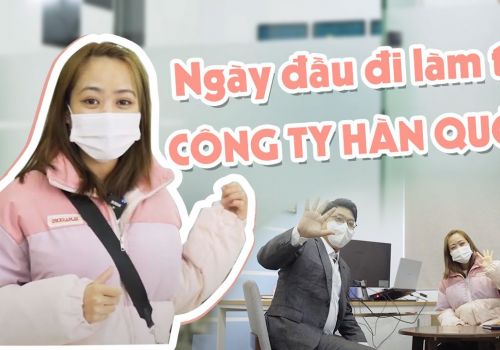 [Tập 1] 1 ngày làm việc của nhân viên mới tại công ty Hàn Quốc?
