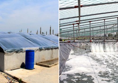 Ứng dụng công nghệ “zic zac” lọc nước nhanh trong nuôi tôm vụ đông ở Nghệ An