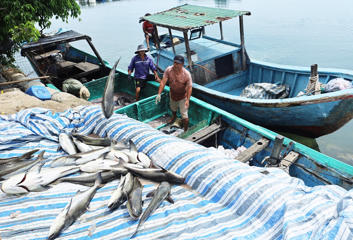 0bb808923ca2f5fcacb3-1718-1633698063 (1)