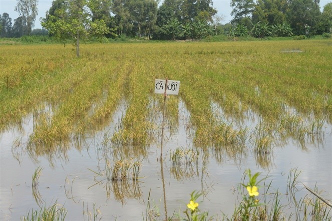 16-34-36_nong_dn_hu_ging_de_lu_ti_sinh_v_th_nuoi_c_dong_thy_the_vu_lu_thu_dong