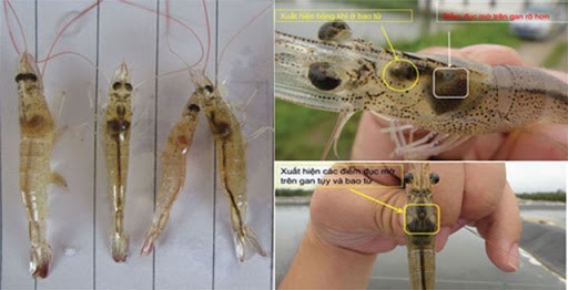 1603162689_unnamed-2