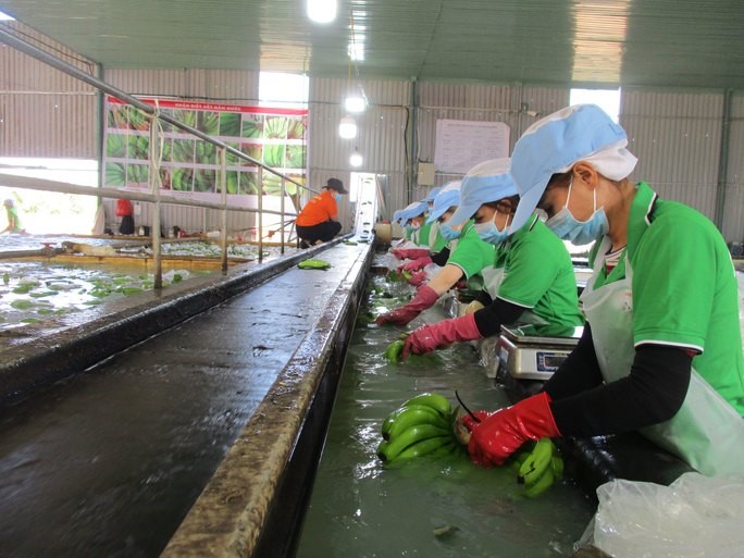 18-chot-18-1662034898374788178617