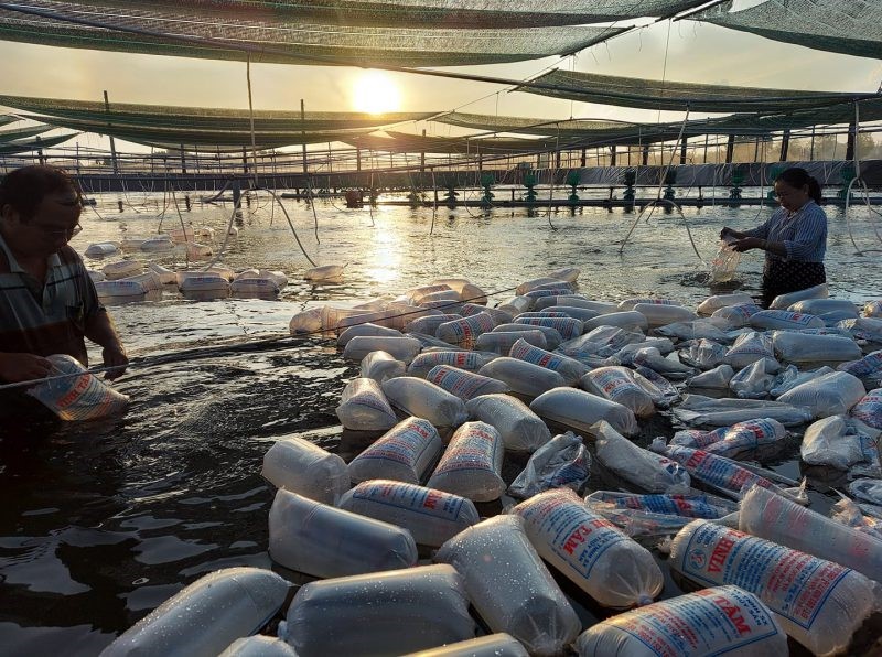 191581240_1652751021584767_3218489476815308615_n-e1631552154125