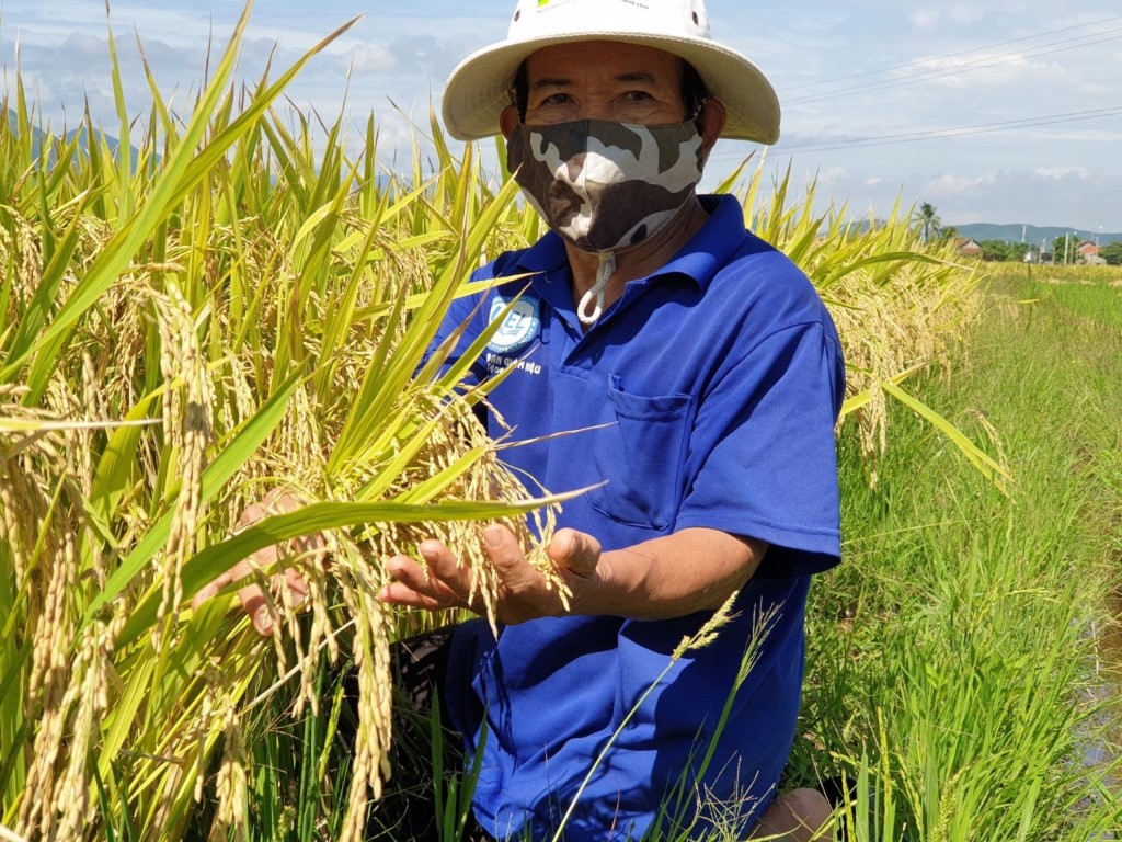 Phú Yên: Đồng Xuân triển khai mô hình cơ giới hóa hỗ trợ máy ép viên thức ăn chăn nuôi