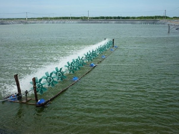 2020-5-29-KTKT-TS-nhiet-do-ao-nuoi-tom