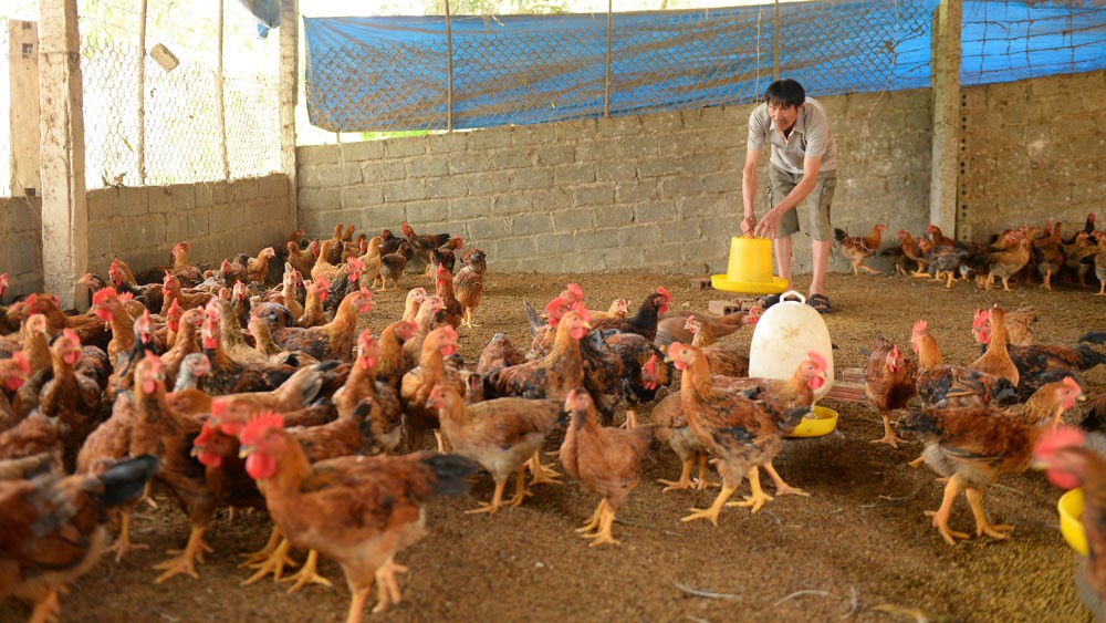 20221021182218-dsc-0059