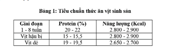 Dinh dưỡng cho vịt đẻ